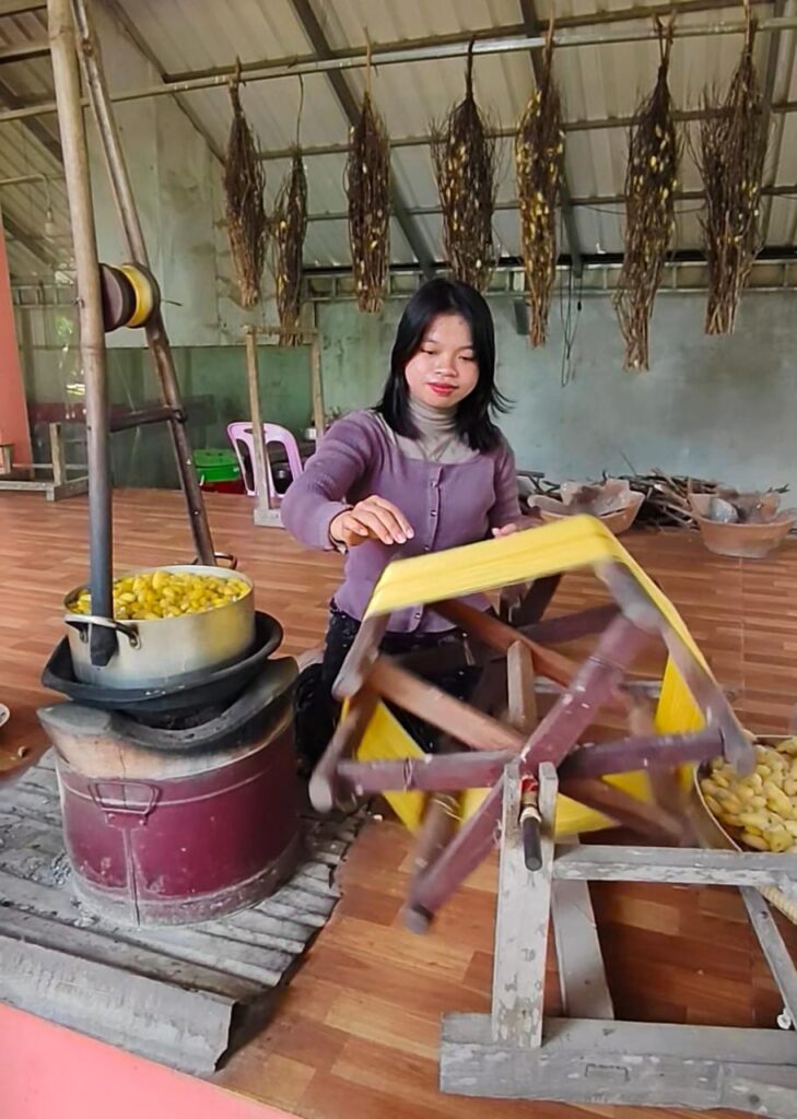 Village life on Silk Island